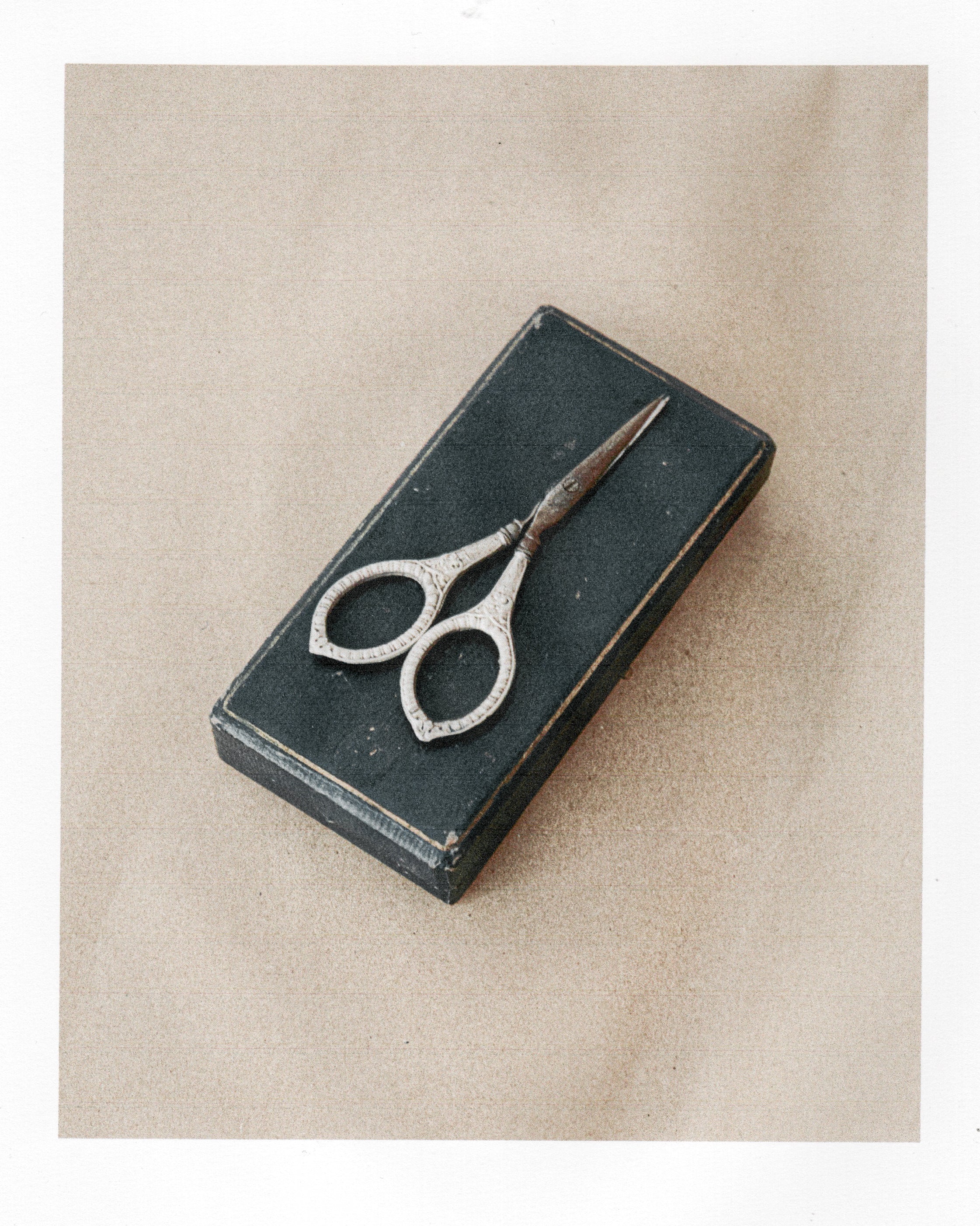 Sewing Scissors with Silver Handles