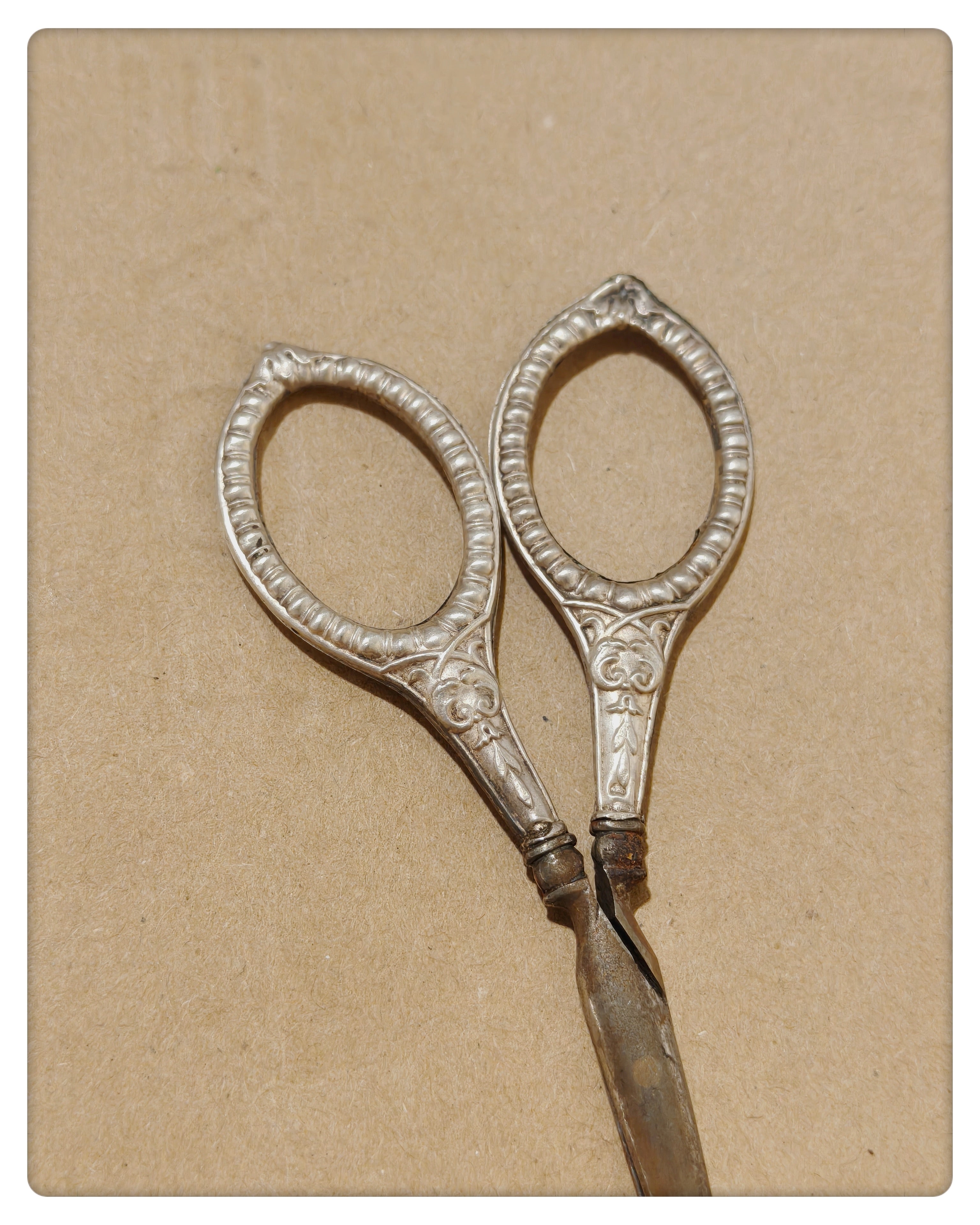 Sewing Scissors with Silver Handles