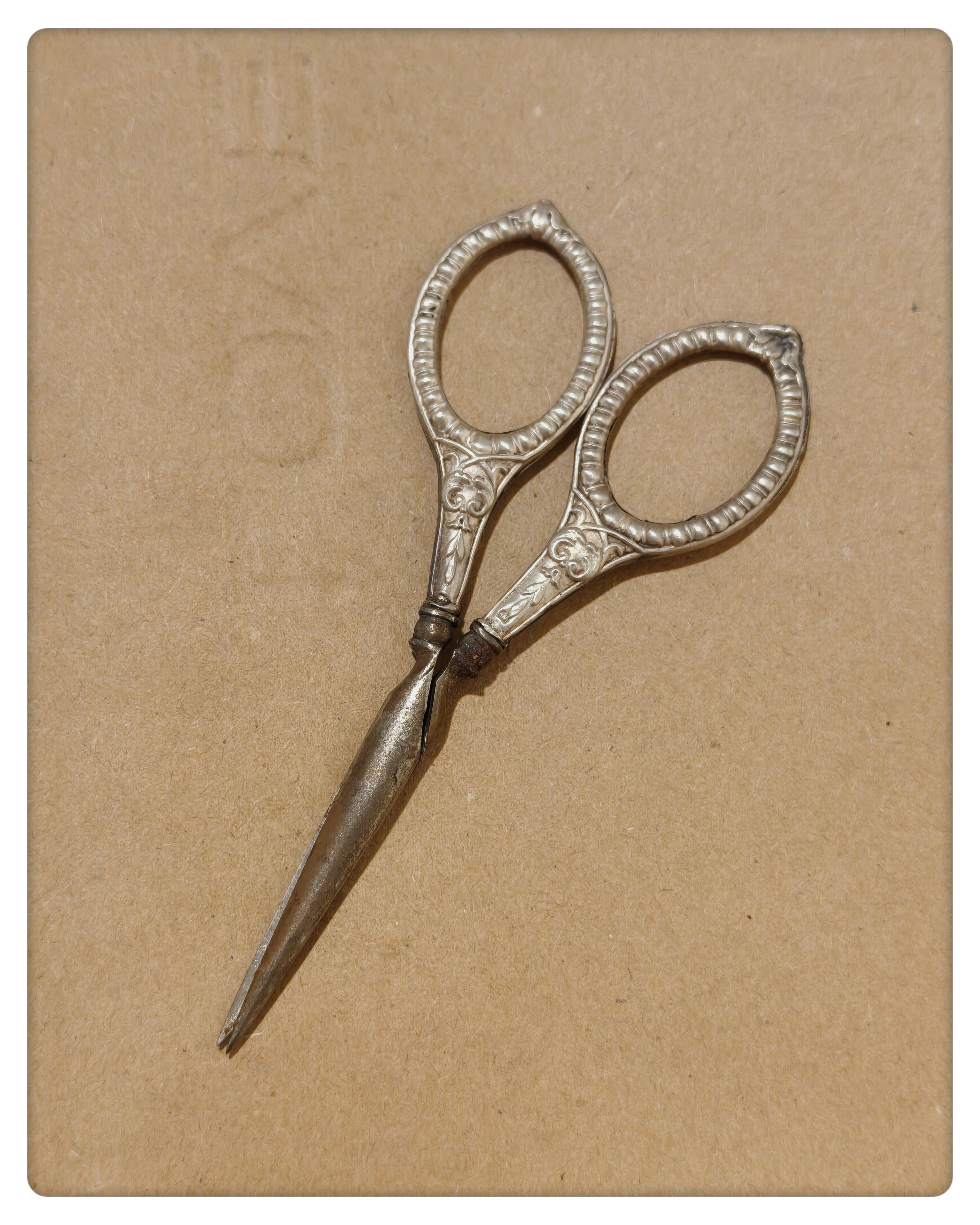 Sewing Scissors with Silver Handles
